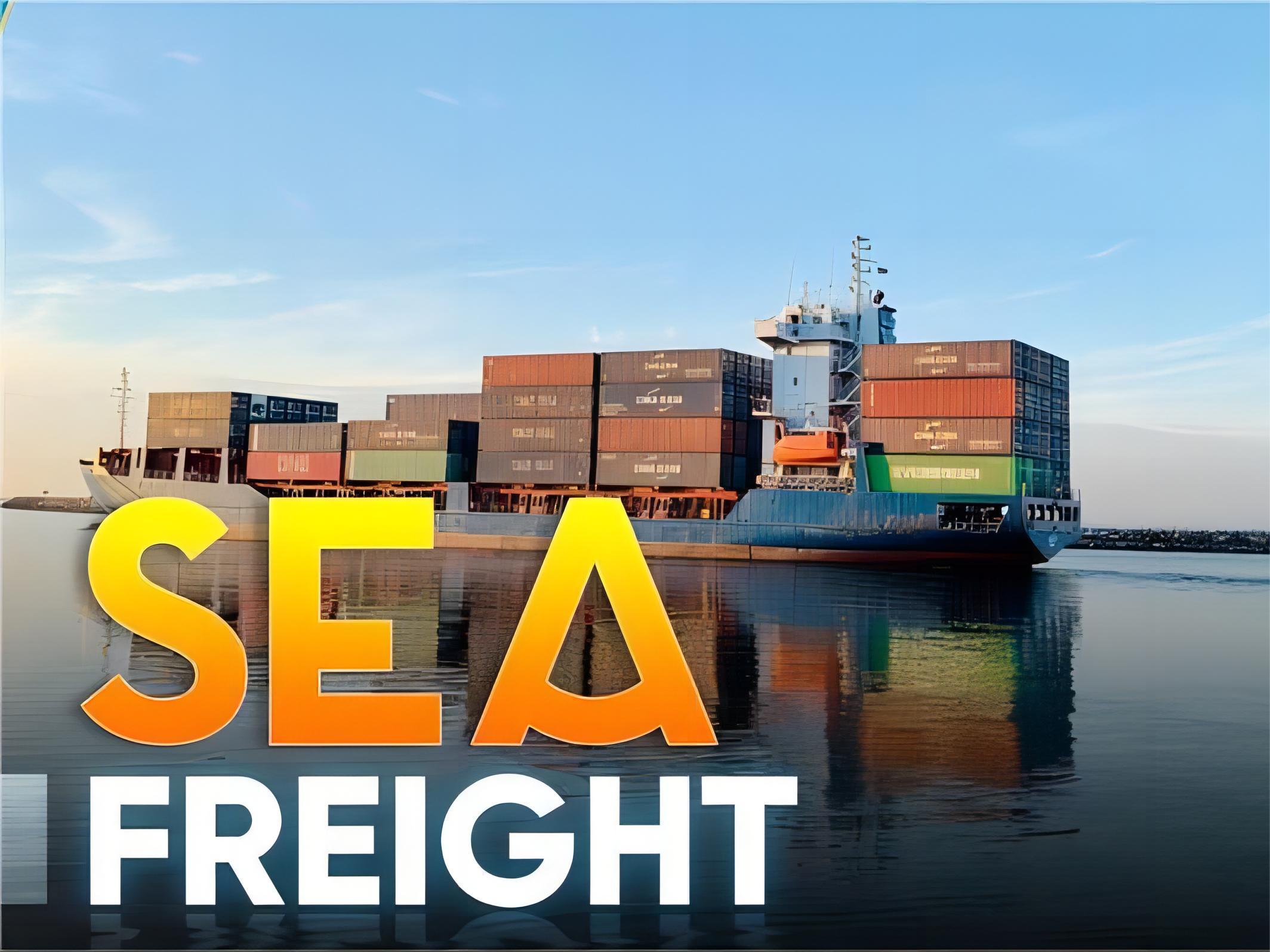 Logistics professional reviewing shipping documents