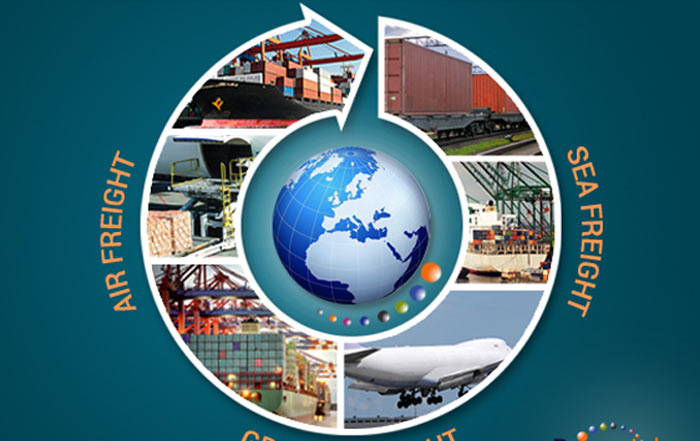 Logistics professional checking customs documentation for UK import