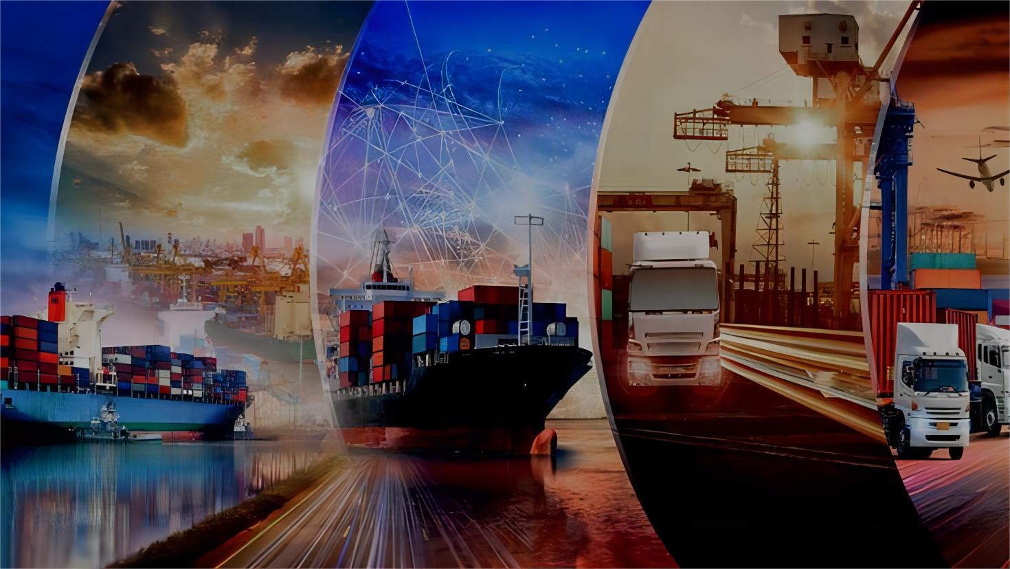 Logistics expert reviewing shipping documents