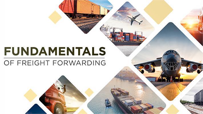 china freight forwarder for ecommerce quotation