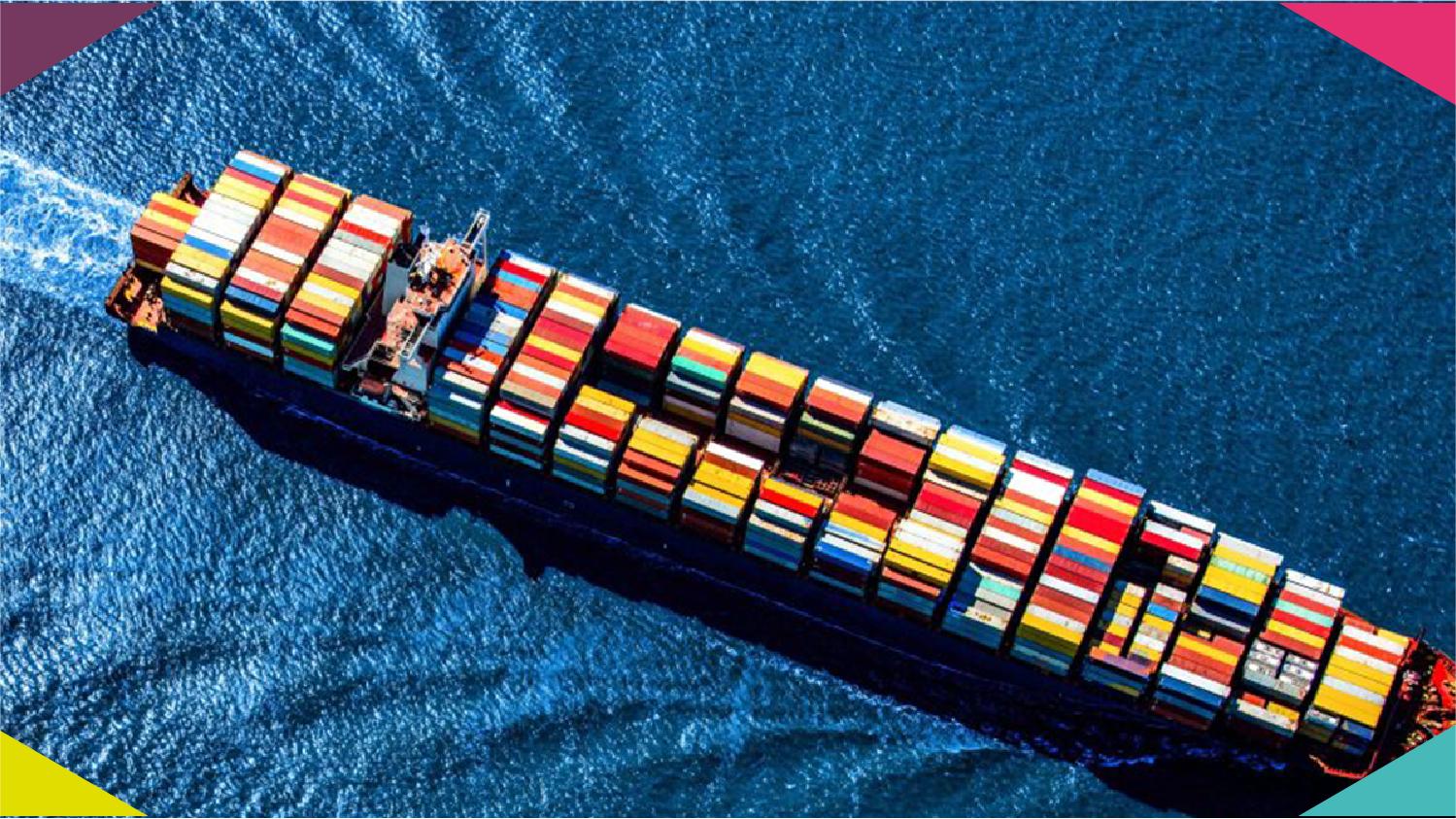 Logistics professional checking shipping documentation