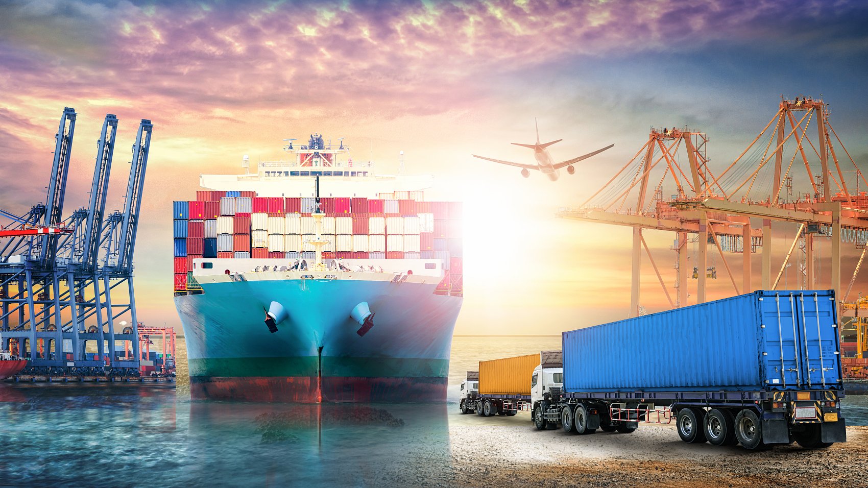 Logistics professional reviewing shipping documents
